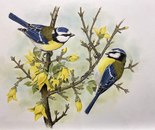 Name: Zahra Dakia/ Title:‏ The Melody of Color/ Dimensions: 38*34cm/ Technique: ‏Polychrome Colored/ Year: 2026/ Price: Personal Archive