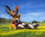 Welcome Wagon