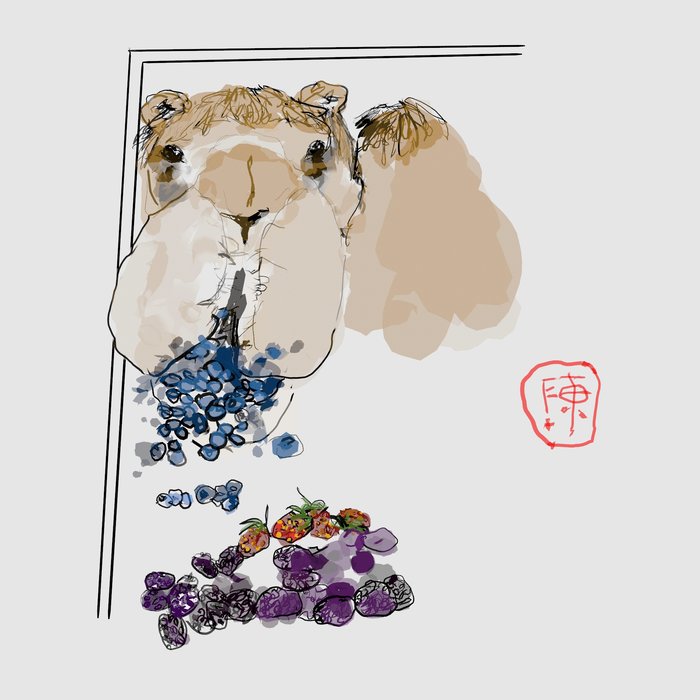 Humpday Berry Breakfast 