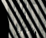 Containment