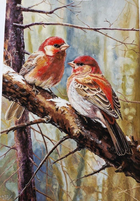 Name:Azadeh Rezaeizadeh/ Title: Robin/ Dimensions:33*49.5cm/ Technigue: Poster Color/ Year: 2026/ Price:193$