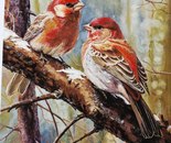 Name:Azadeh Rezaeizadeh/ Title: Robin/ Dimensions:33*49.5cm/ Technigue: Poster Color/ Year: 2026/ Price:193$