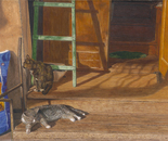 Cats on the porch