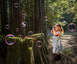 Bubble Stump
