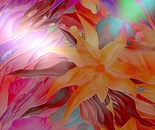 IL CANTO DELL'ORCHIDEA