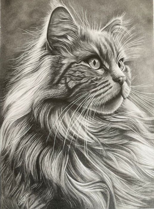 Name: Soheila Tayebi/ Title: The Little Ruler/ Dimensions: 30*40cm/ Technique: Black Pencil on Cardboard/ Year: 2026/ Price: 150$