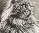 Name: Soheila Tayebi/ Title: The Little Ruler/ Dimensions: 30*40cm/ Technique: Black Pencil on Cardboard/ Year: 2026/ Price: 150$