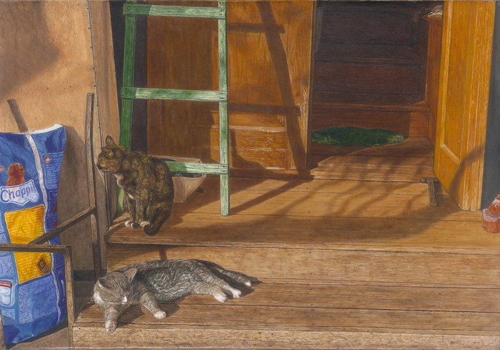 Cats on the porch