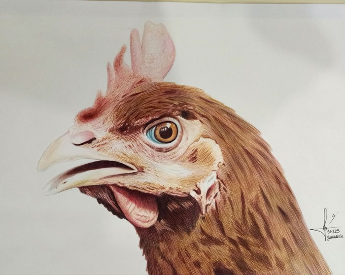 Name: Golale Rahmani/ Title: Rooster/ Dimensions: A4/ Technique: Ballpoint Pen/ Year: 2026/ Price: 600$