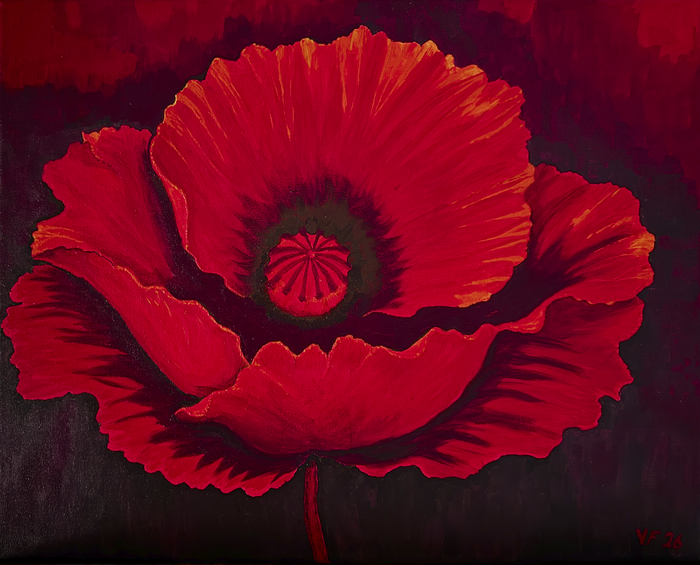 RED DISCIPLINE VI - Poppy as Flame · 2026