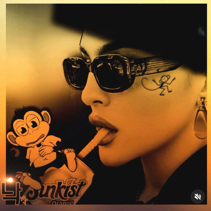 FOR THE LOVE OF MONKEYS by Joy Hutchins