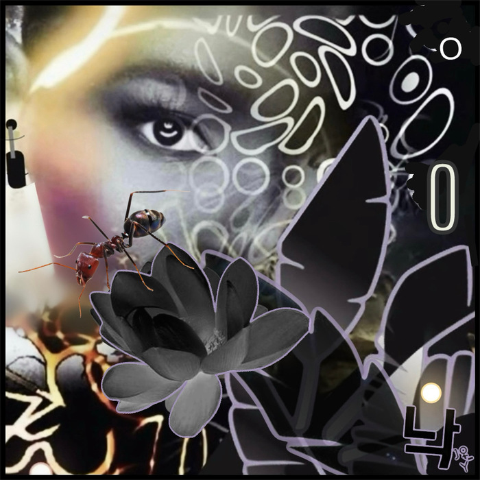 HIDING IN PLAIN SIGHT 2 by Joy Hutchins