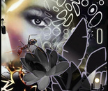 HIDING IN PLAIN SIGHT 2