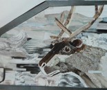 Cruisin' With the Caribou