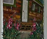 At Home With Fireweed