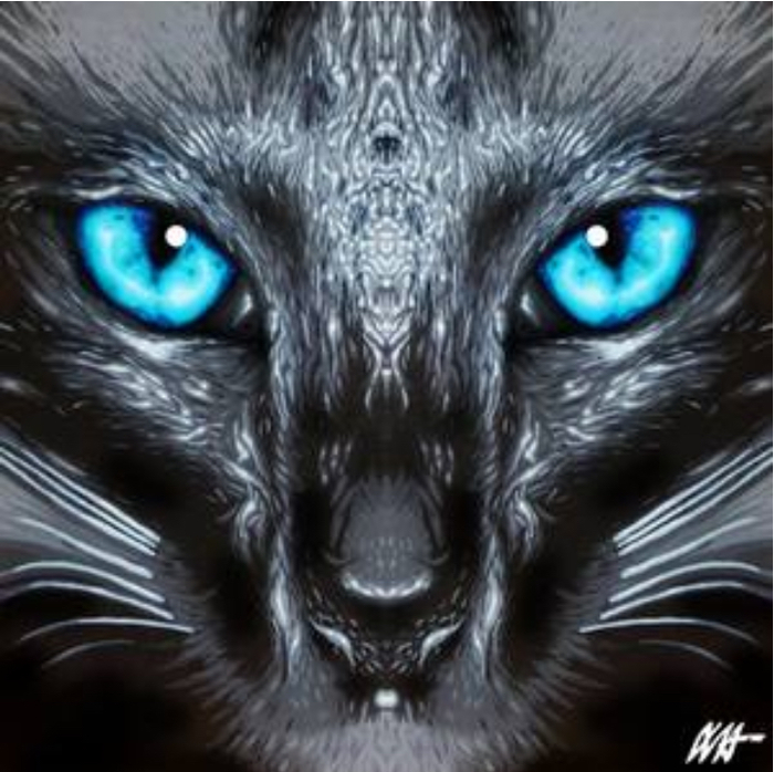 A CAT NAMED ZIMABLOO