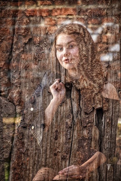 Young Life in Old Wood: Energy and Endurance (2026)