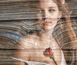 Ascension through Stillness