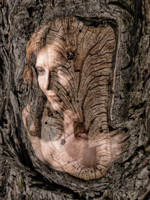  Trapped in Time: A Forgotten Voice (2026)