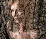  Trapped in Time: A Forgotten Voice (2026)