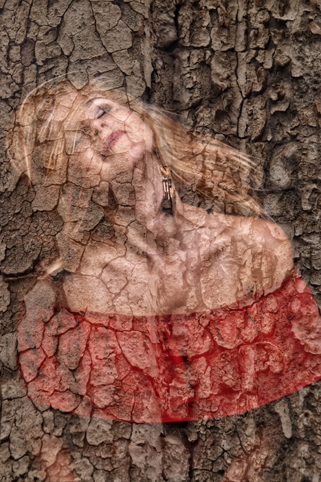 The Unyielding Core .Layers of Resilience