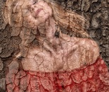 The Unyielding Core .Layers of Resilience