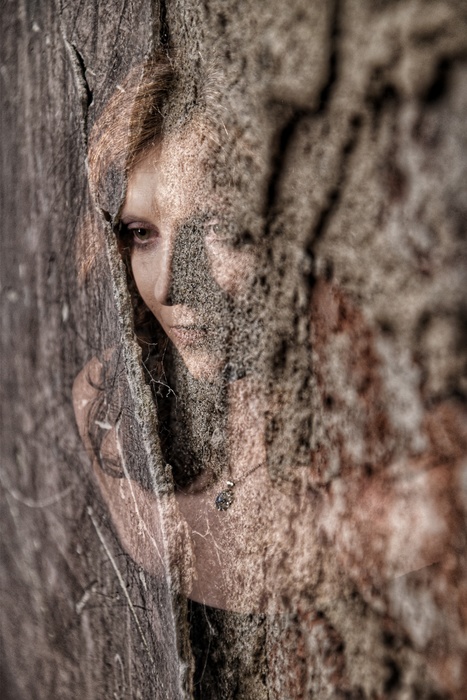 The Origin of the Whisper .The Primal Gaze (2026)