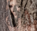 The Origin of the Whisper .The Primal Gaze (2026)