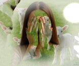 aber the lambs of the silence