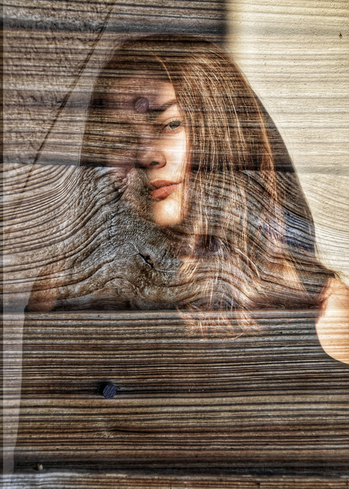 The Texture of Being. The Whisper of Ancient Wood (2026)