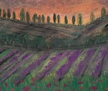 Lavender Fields at Dusk by Laura Bernardeschi Nelson 