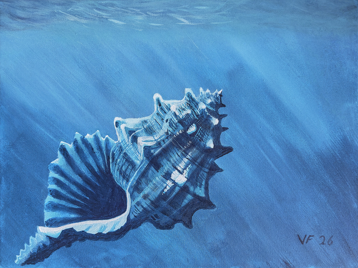 AQUA DISCIPLINE II – Conch · 2026