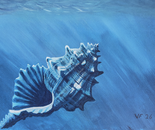 AQUA DISCIPLINE II – Conch · 2026