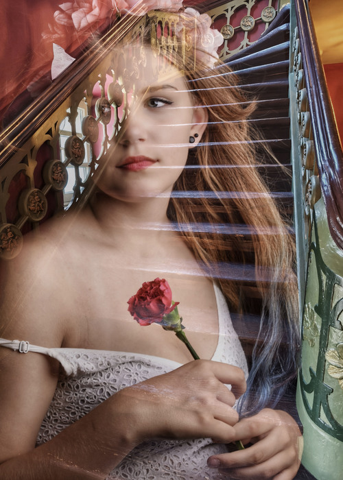 The Fragility of Memory. The Red Blossom of Silence (2026)