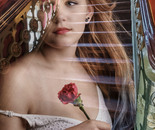 The Fragility of Memory. The Red Blossom of Silence (2026)