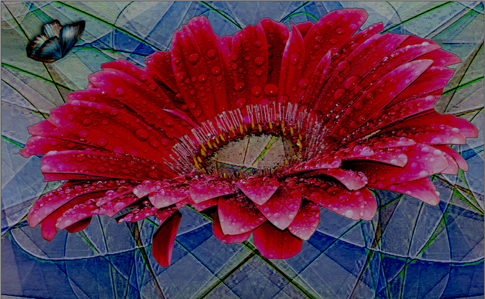 EL RUMOR DE LOS PÉTALOS