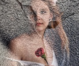 Fissure of Hope: Flower in Stone. (2026)