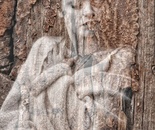 Cocoon of Time: A Dream of Passing (2026)