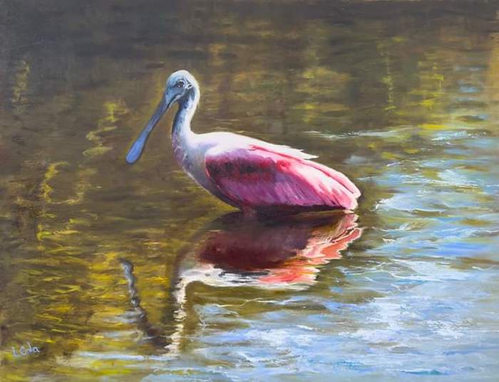 spoonbill
