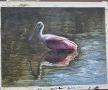 spoonbill