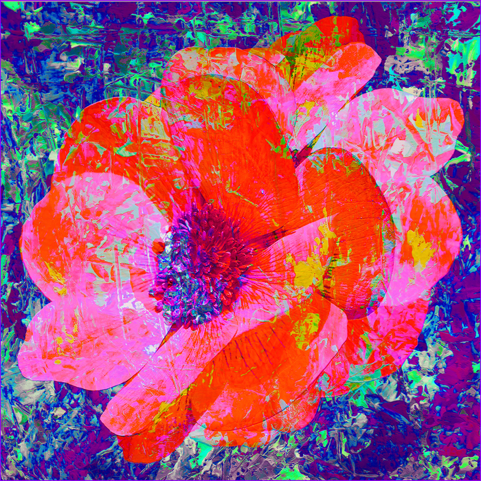 NATURALEZA DEL ANHELO