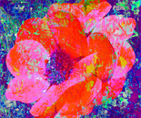 NATURALEZA DEL ANHELO