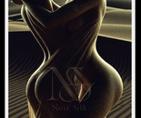 Noir Silk Embrace / 017