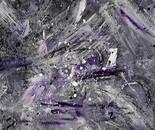 Intemporelle/ Timeless