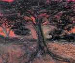 Light, Scattered by Laura Bernardeschi Nelson