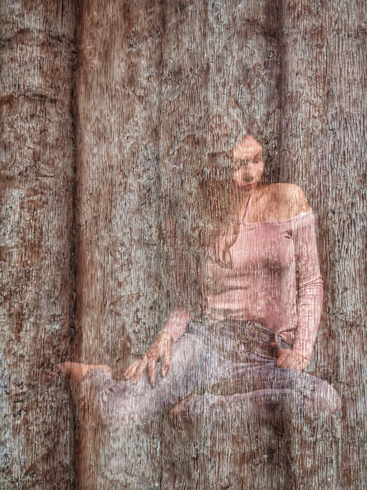 Heart of the Tree: Inscribed in Rings (2026)