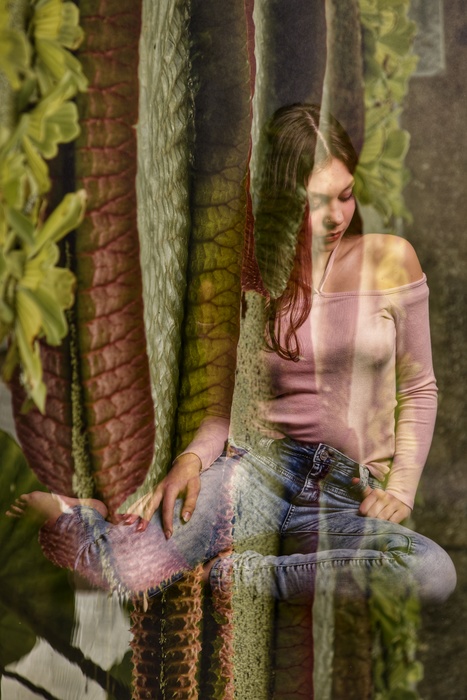 Columns of Victoria: The Permeation of Fragility ( 2026)