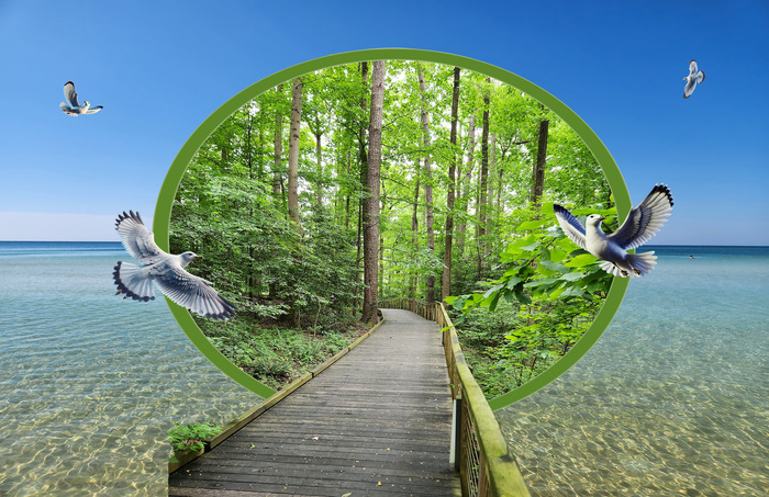 Beach Island Walkway