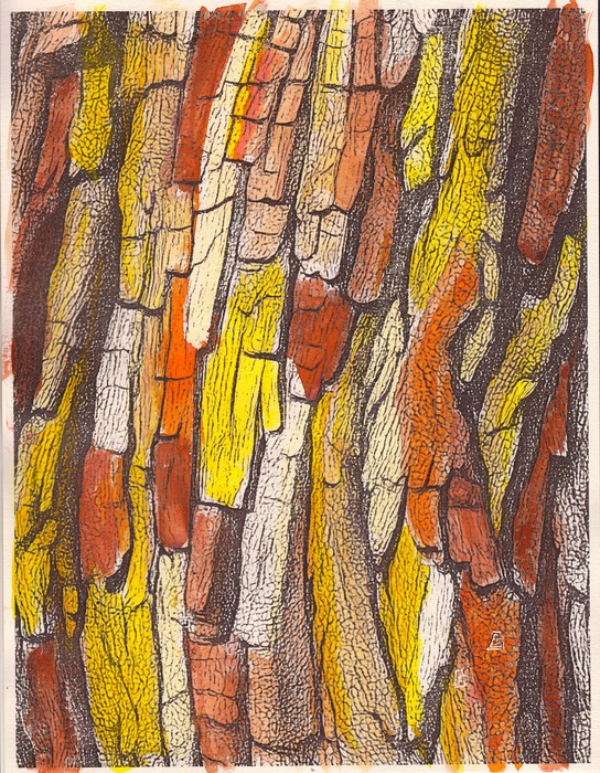 TREE BARK 3