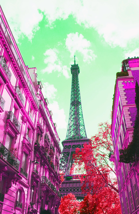 Paris Eiffel Tower from the Street